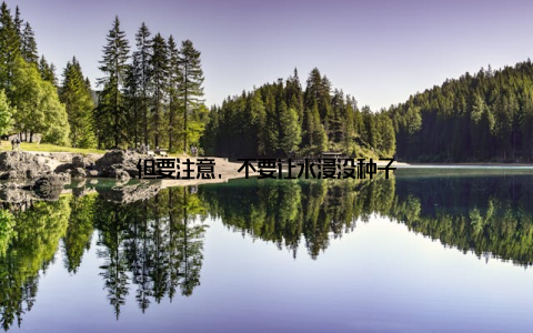 但要注意, 不要让水浸没种子