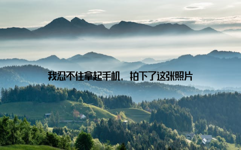 我忍不住拿起手机, 拍下了这张照片