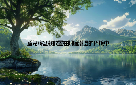 避免将盆栽放置在阴暗潮湿的环境中