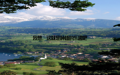 我想, 这就是种植的乐趣吧