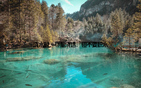 浇水时, 尽量浇透, 但不要积水