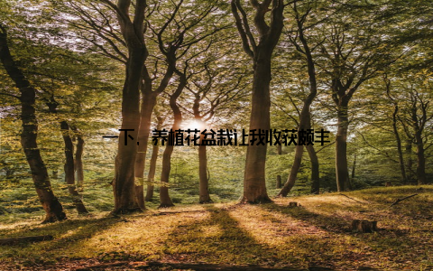 一下, 养植花盆栽让我收获颇丰