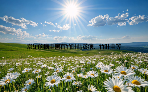 常见的病虫害有竹叶枯萎病、竹叶虫等