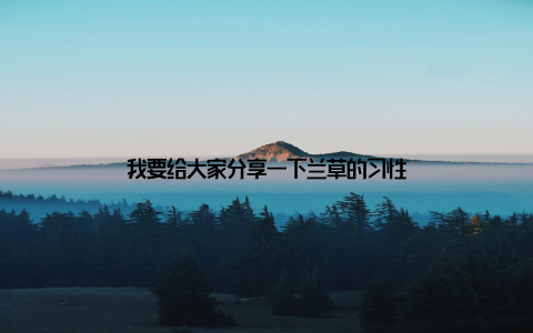 我要给大家分享一下兰草的习性