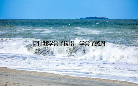 它让我学会了珍惜, 学会了感恩