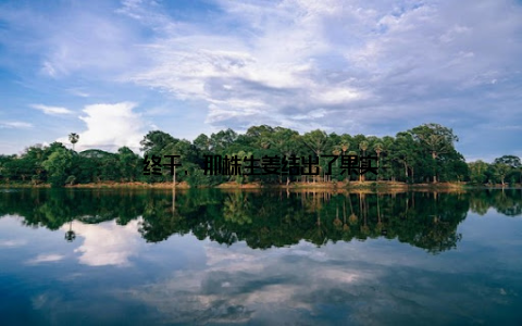 终于, 那株生姜结出了果实