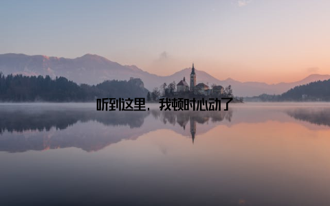 听到这里, 我顿时心动了