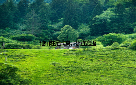 他们驻足欣赏, 流连忘返