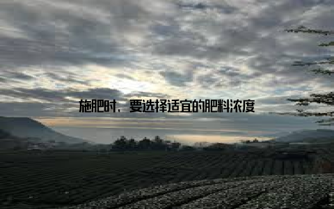 施肥时, 要选择适宜的肥料浓度