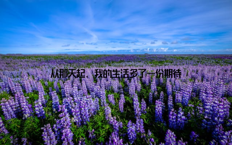 从那天起, 我的生活多了一份期待