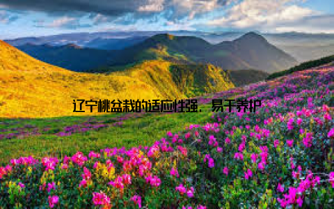 辽宁桃盆栽的适应性强, 易于养护