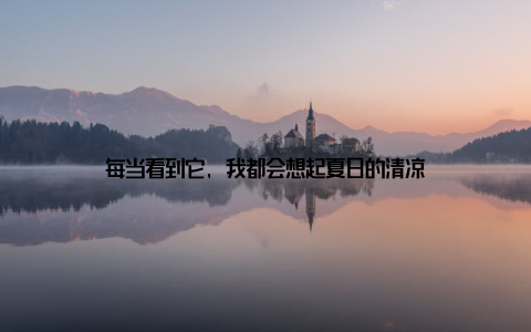 每当看到它, 我都会想起夏日的清凉