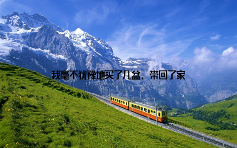 我毫不犹豫地买了几盆, 带回了家