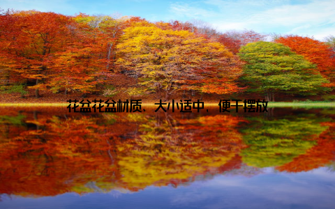 花盆花盆材质、大小适中, 便于摆放