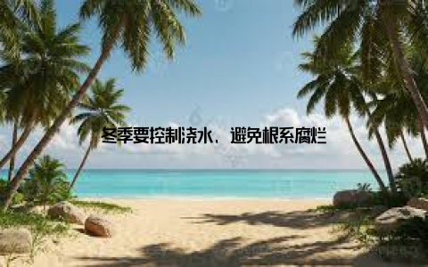 冬季要控制浇水, 避免根系腐烂