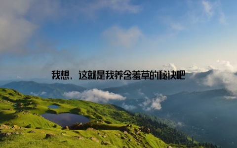 我想, 这就是我养含羞草的秘诀吧