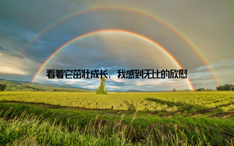 看着它茁壮成长, 我感到无比的欣慰