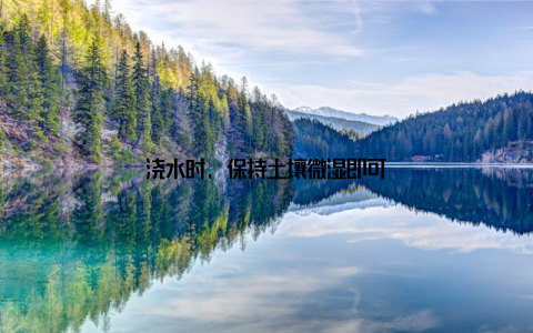 浇水时, 保持土壤微湿即可