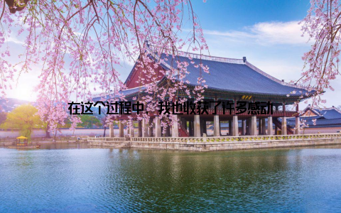 在这个过程中, 我也收获了许多感动