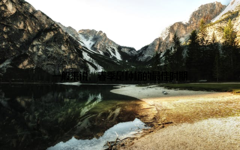 一般来说, 春季是种植的最佳时期