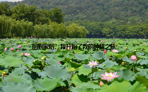 回到家后, 我开始了我的种植之旅