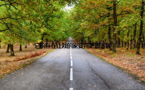 它的存在让我的家变得更加温馨