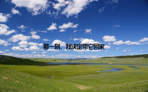 那一刻, 我决定带它回家