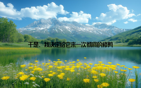 于是, 我决定给它来一次彻底的修剪