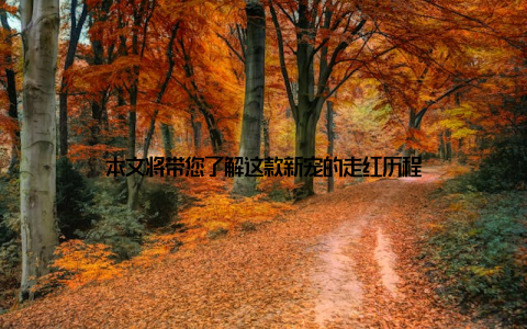 本文将带您了解这款新宠的走红历程