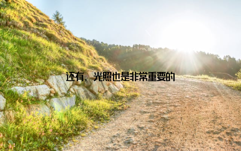 还有, 光照也是非常重要的