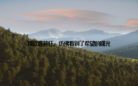 我欣喜若狂, 仿佛看到了希望的曙光