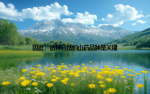 因此, 选择合适的山药品种是关键