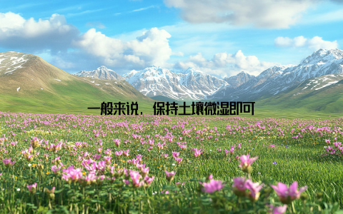 一般来说, 保持土壤微湿即可