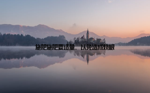 施肥施肥要适量, 以免造成烧根