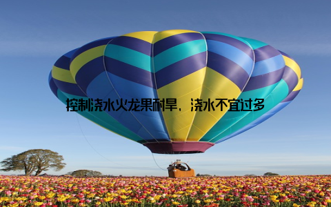 控制浇水火龙果耐旱, 浇水不宜过多