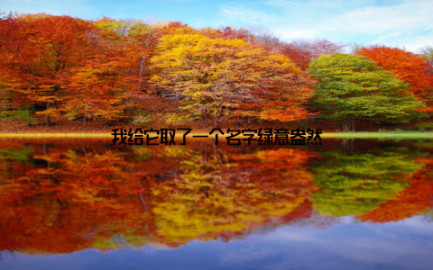 我给它取了一个名字绿意盎然