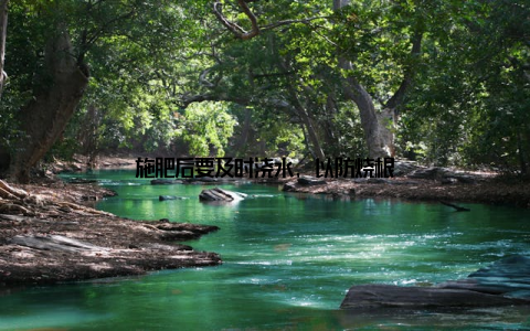 施肥后要及时浇水, 以防烧根