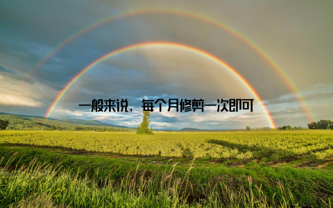 一般来说, 每个月修剪一次即可