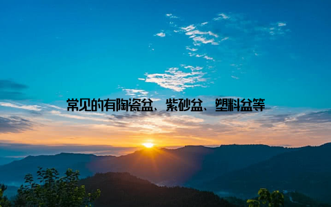 常见的有陶瓷盆、紫砂盆、塑料盆等