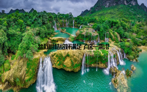 盆栽柑桔恰好满足了这一需求