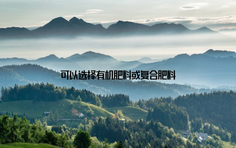 可以选择有机肥料或复合肥料