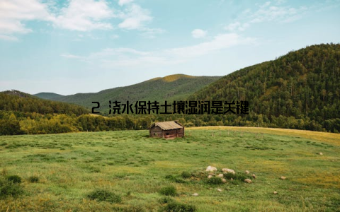 2 浇水保持土壤湿润是关键