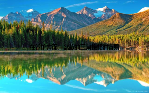 在养护方面, 盆栽的三角梅相对容易