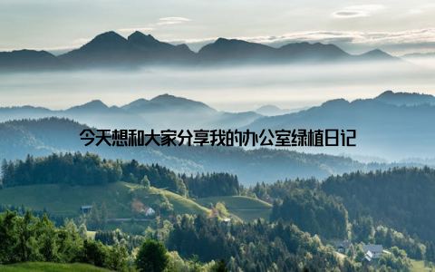 今天想和大家分享我的办公室绿植日记