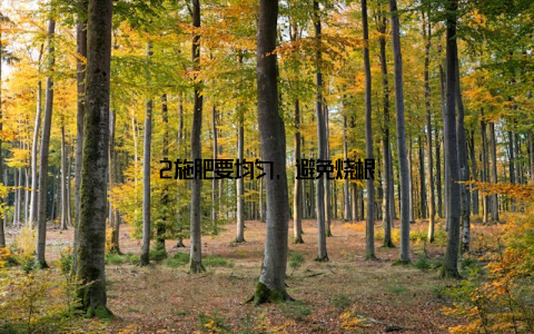 2施肥要均匀, 避免烧根