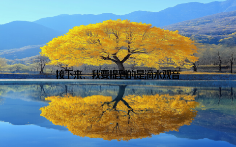 接下来, 我要提到的是滴水观音