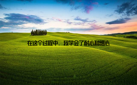 在这个过程中, 我学会了耐心和细心