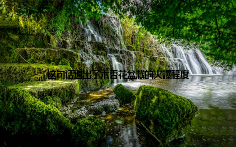 这句话道出了木香花盆栽的火爆程度