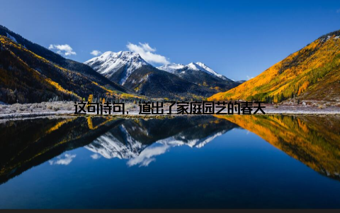 这句诗句, 道出了家庭园艺的春天