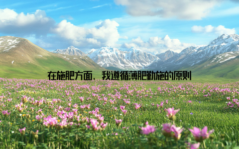 在施肥方面, 我遵循薄肥勤施的原则